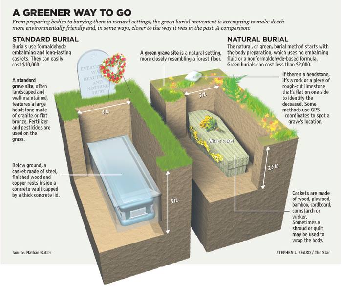 comparison of natural and conventional burial